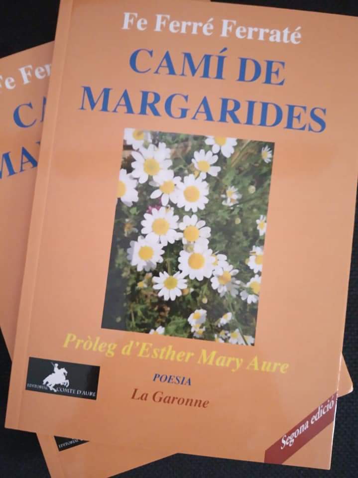 Camí de margarides