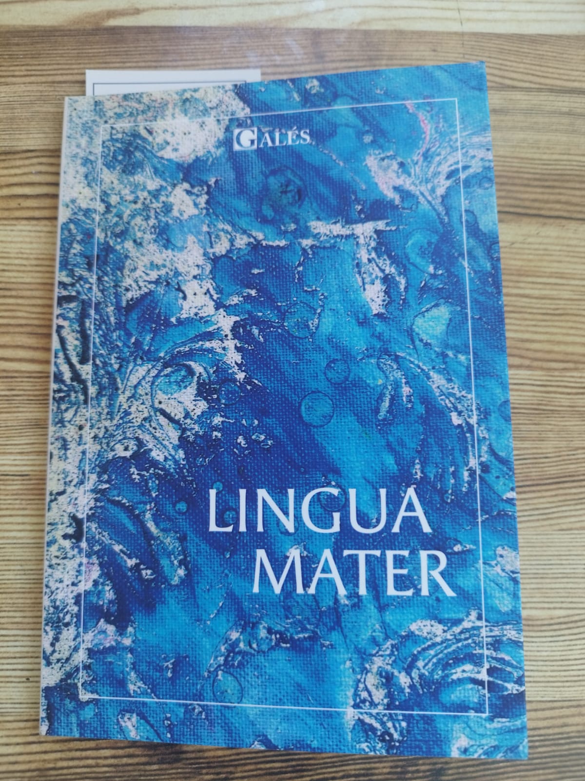 Lingua Mater