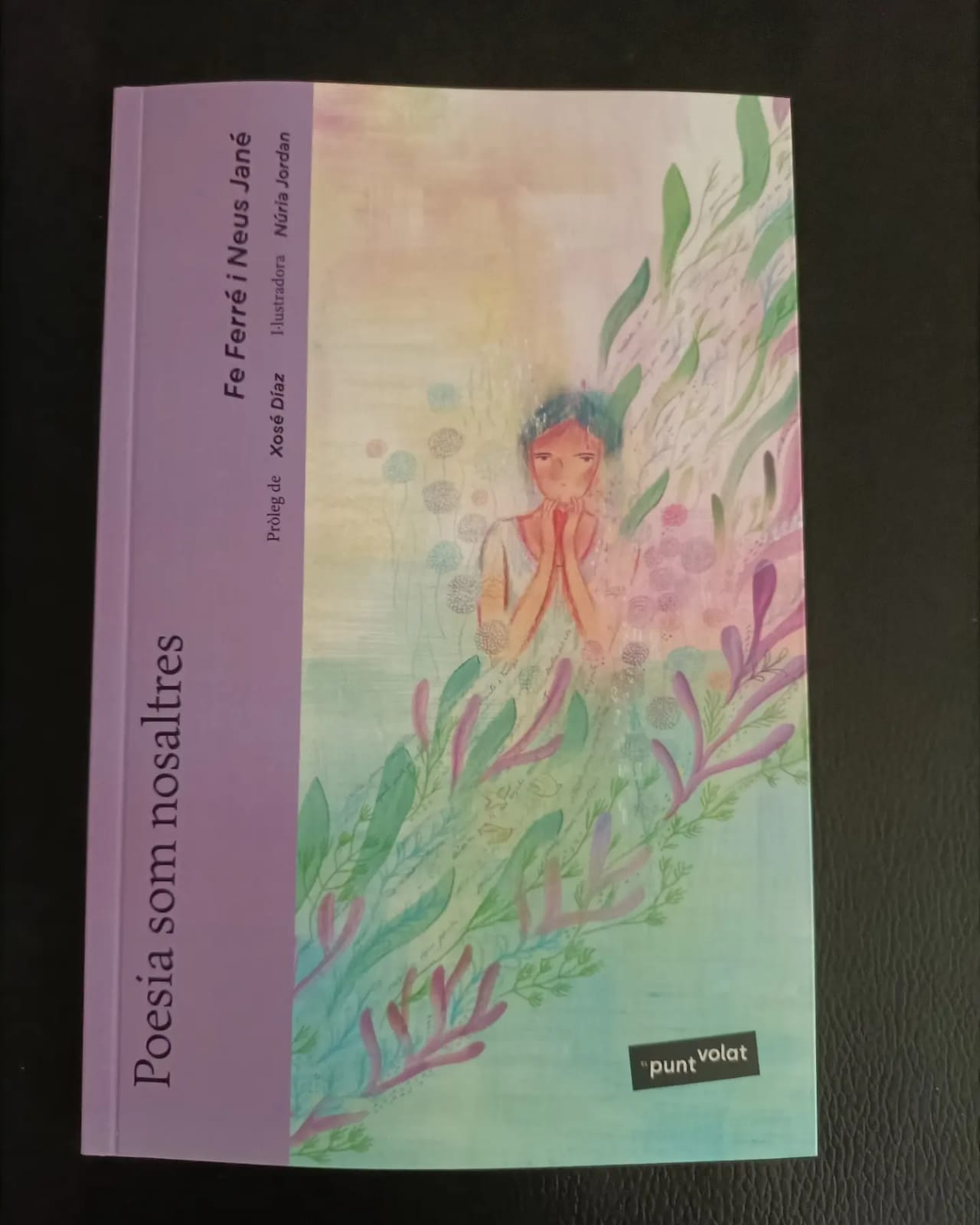 Poesia som nosaltres